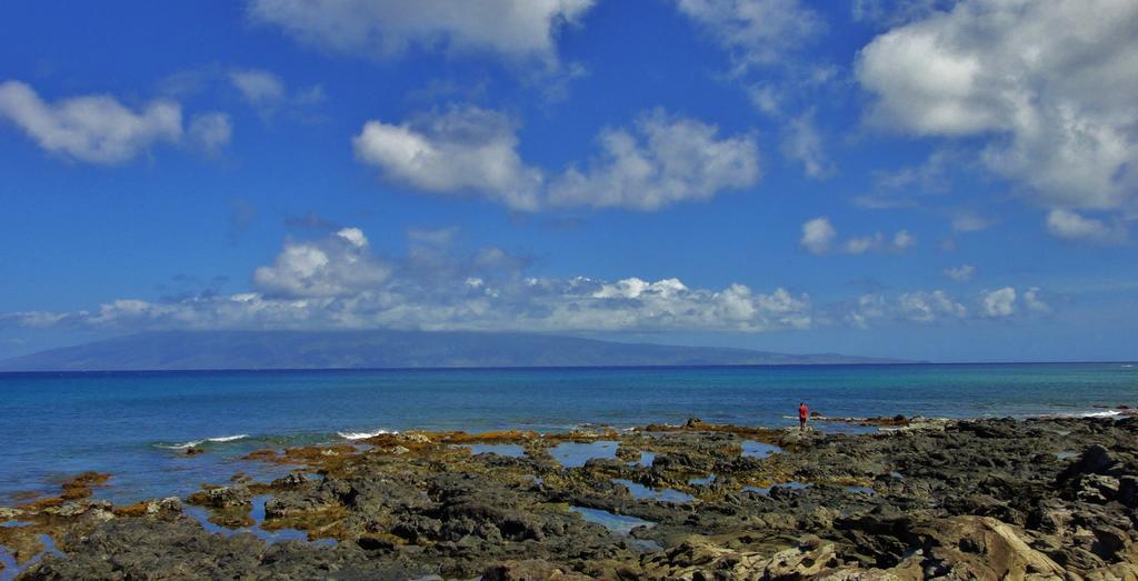 Condos At Napili Point Lahaina Bagian luar foto